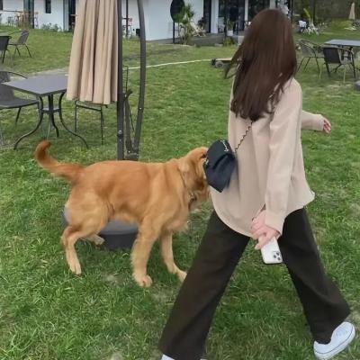 破晓时分